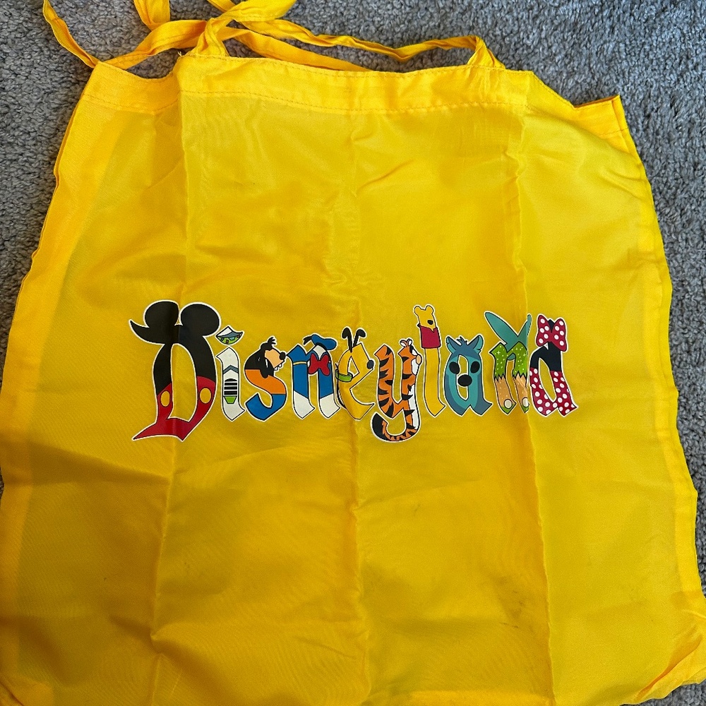 Packable Disneyland tote